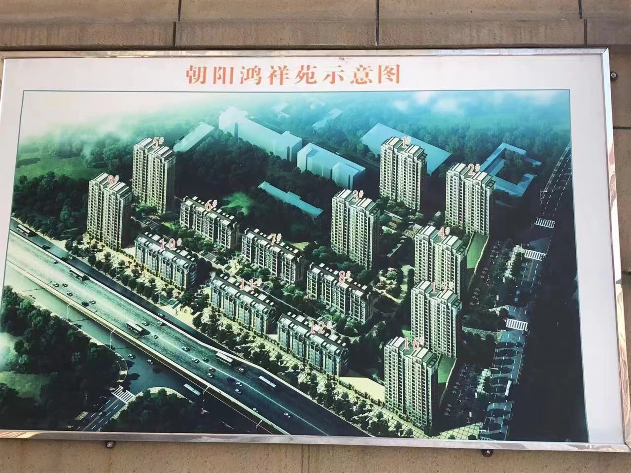 朝阳.jpg